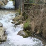 pesca alle trote in torrente